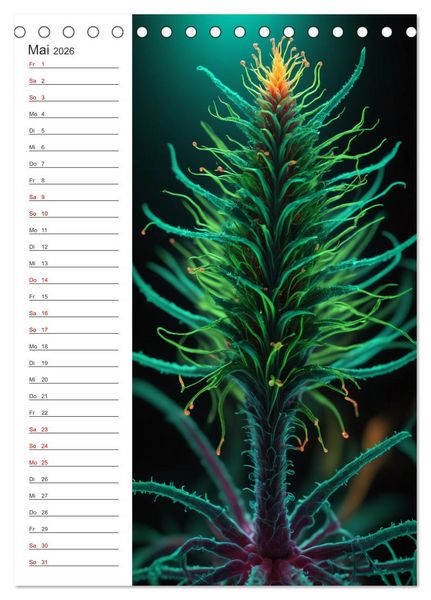 Produktbild: Leuchtende Mikroflora (Tischkalender 2026 DIN A5 hoch), CALVENDO Monatskalender