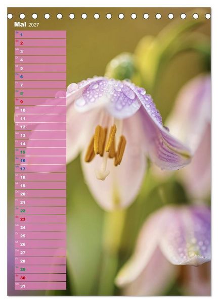 Produktbild: Bunte Augenblicke (Tischkalender 2027 DIN A5 hoch), CALVENDO Monatskalender