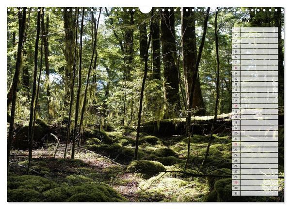Produktbild: Kia ora, Aotearoa - Wunderbares Neuseeland (Wandkalender 2026 DIN A3 quer), CALVENDO Monatskalender
