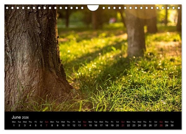 Produktbild: Landscapes from Romania (Wall Calendar 2026 DIN A4 landscape), CALVENDO 12 Month Wall Calendar