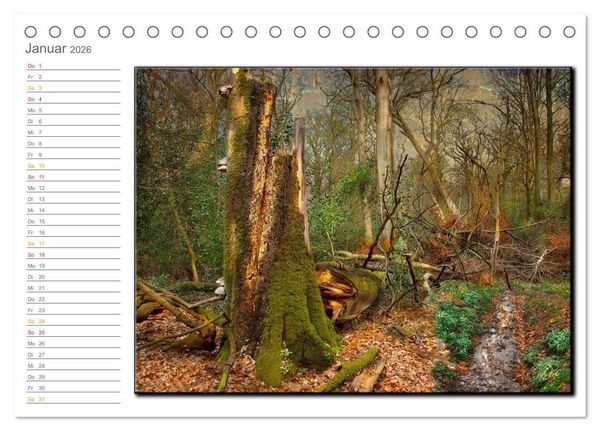 Produktbild: Der Neuenburger Urwald (Tischkalender 2026 DIN A5 quer), CALVENDO Monatskalender