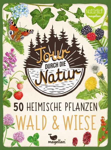 Tour durch die Natur - 50 heimische Pflanzen - Wald & Wiese