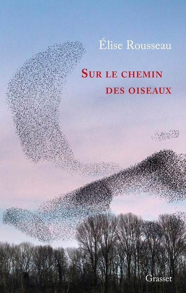 Produktbild: Sur le chemin des oiseaux