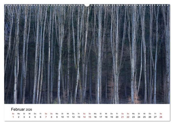 Produktbild: B&auml;ume - Wunder der Natur (hochwertiger Premium Wandkalender 2026 DIN A2 quer), Kunstdruck in Hochglanz