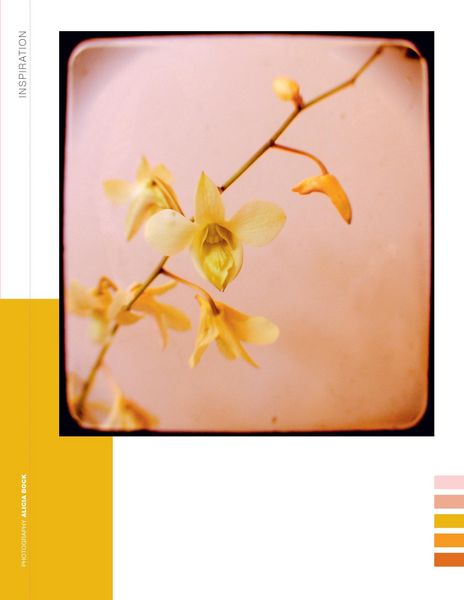 Produktbild: Paper Book for Nature Lovers