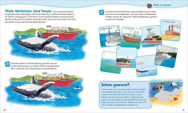 WAS IST WAS Junior Mitmach-Heft. Wale und Delfine.