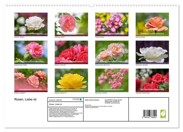 Produktbild: Rosen, Liebe ist (hochwertiger Premium Wandkalender 2027 DIN A2 quer), Kunstdruck in Hochglanz