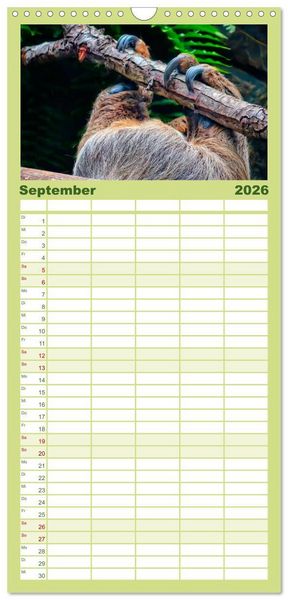 Produktbild: Familienplaner 2026 - Abh&auml;ngen - Faultier mit 5 Spalten (Wandkalender, 21 x 45 cm) CALVENDO