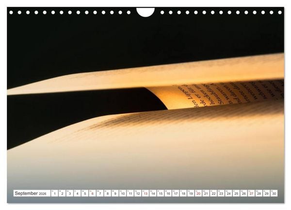 Produktbild: Ars Libri - Kunstwerk Buch (Wandkalender 2026 DIN A4 quer), CALVENDO Monatskalender
