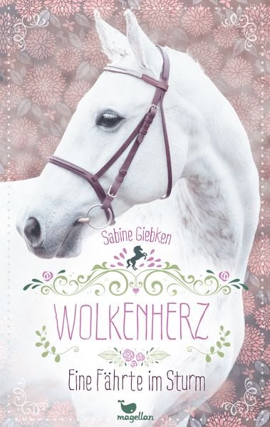Produktbild: Wolkenherz - Eine F&auml;hrte im Sturm