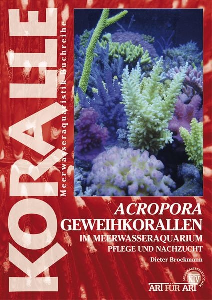 Produktbild: Acropora-Geweihkorallen im Meerwasseraquarium