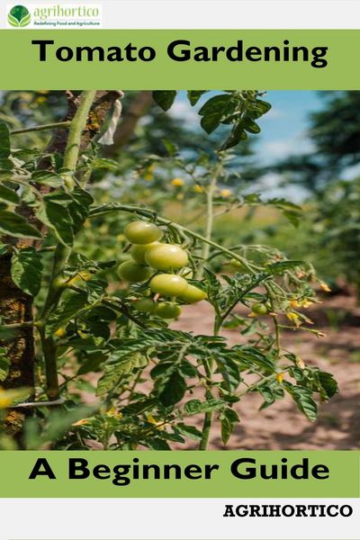 Produktbild: Tomato Gardening A Beginner Guide