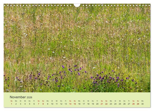 Produktbild: Wilde Blumen - ein Spaziergang durch die Natur (Wandkalender 2026 DIN A3 quer), CALVENDO Monatskalender