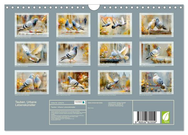 Produktbild: Tauben. Urbane Lebensk&uuml;nstler (Wandkalender 2027 DIN A4 quer), CALVENDO Monatskalender
