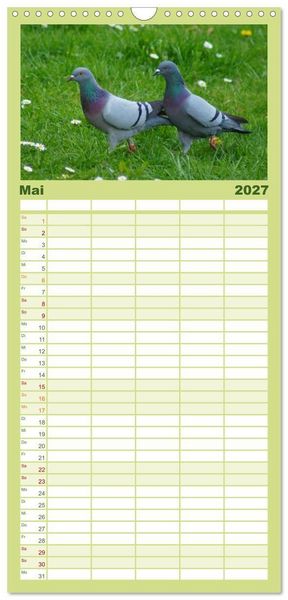 Produktbild: Familienplaner 2027 - Tauben in der Stadt mit 5 Spalten (Wandkalender, 21 x 45 cm) CALVENDO