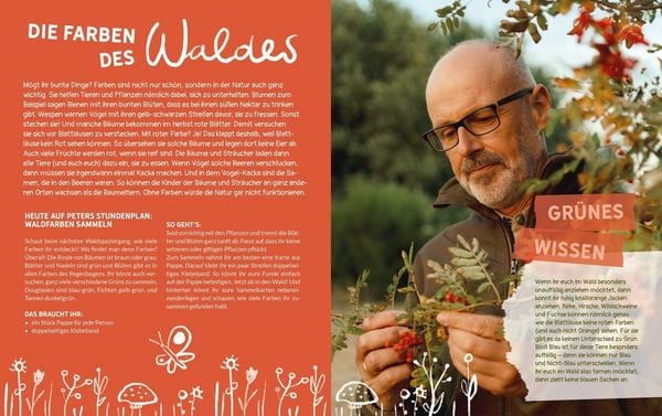 Produktbild: Peter Wohllebens Schule des Waldes