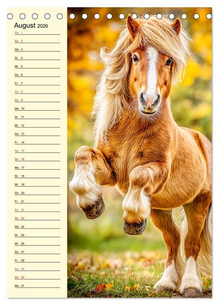 Produktbild: Zauber der Ponys. Kleine Pferde in der Natur (Tischkalender 2026 DIN A5 hoch), CALVENDO Monatskalender
