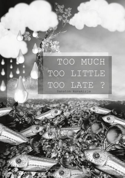 Produktbild: Too Much Too Little Too Late ?