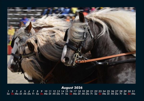 Produktbild: Die Welt der Pferde 2026 Fotokalender DIN A4