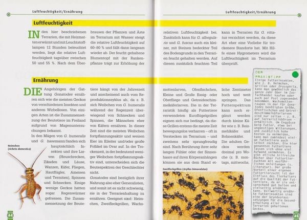 Produktbild: Neotropische Taggeckos