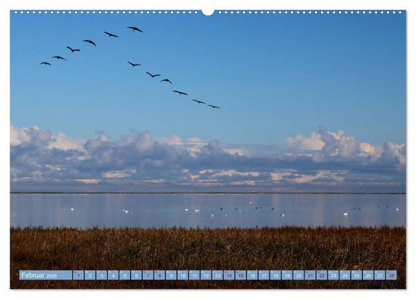Produktbild: Stralsund und die Boddenlandschaft (hochwertiger Premium Wandkalender 2026 DIN A2 quer), Kunstdruck in Hochglanz