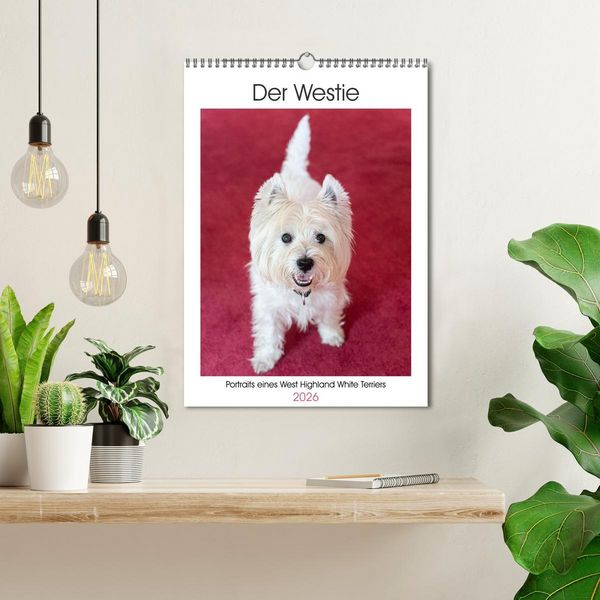 Produktbild: Der Westie - Portrait eines West Highland White Terriers (Wandkalender 2026 DIN A3 hoch), CALVENDO Monatskalender