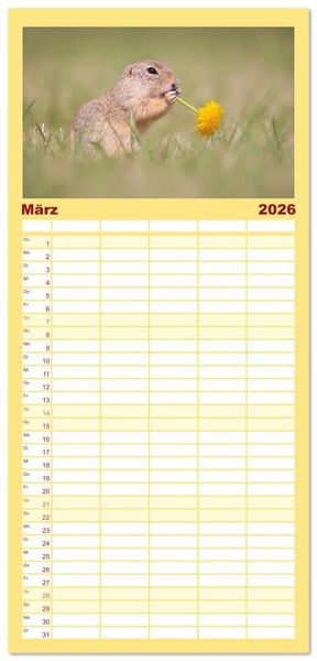 Produktbild: Familienplaner 2026 - Zauberhafte Ziesel mit 5 Spalten (Wandkalender, 21 x 45 cm) CALVENDO