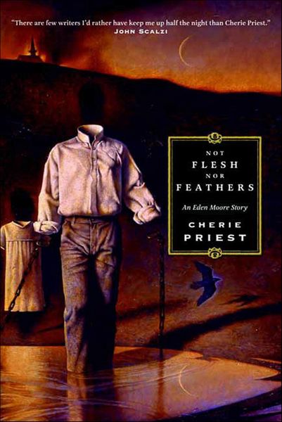 Produktbild: Not Flesh Nor Feathers