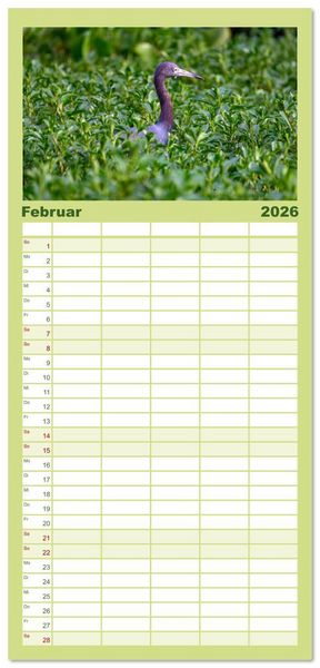 Produktbild: Familienplaner 2026 - Costa Rica - Naturparadies zwischen Karibik und Pazifik mit 5 Spalten (Wandkalender, 21 x 45 cm) CALVENDO
