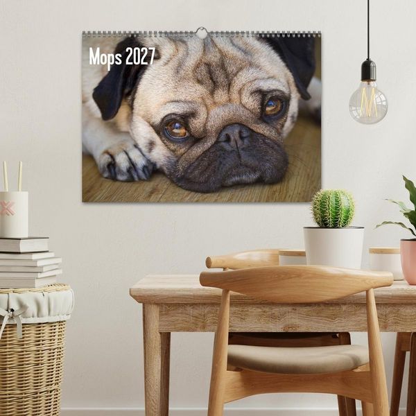 Produktbild: Mops 2027 (Wandkalender 2027 DIN A3 quer), CALVENDO Monatskalender