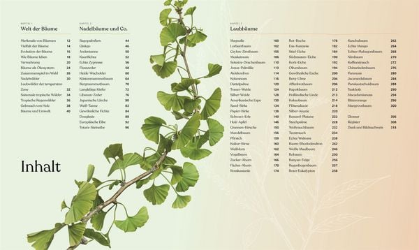 Produktbild: B&auml;ume - Eine Natur- und Kulturgeschichte