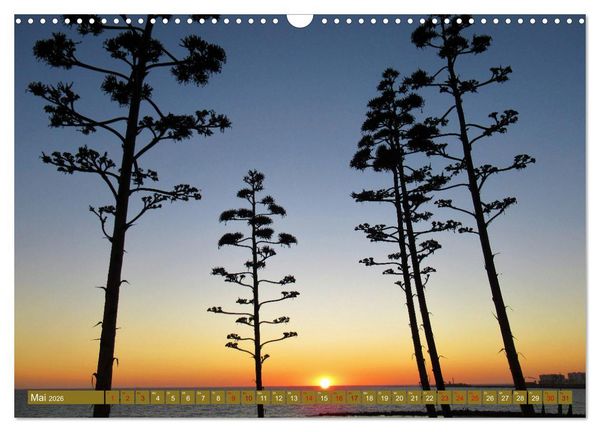 Produktbild: In den Subtropen (Wandkalender 2026 DIN A3 quer), CALVENDO Monatskalender
