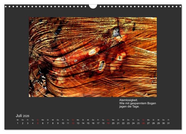 Produktbild: MAGIE HOLZ 2026 (Wandkalender 2026 DIN A3 quer), CALVENDO Monatskalender