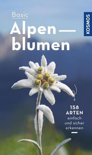 Produktbild: Basic Alpenblumen