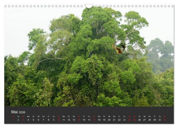 Produktbild: Thailand - exotisch und faszinierend (Wandkalender 2026 DIN A3 quer), CALVENDO Monatskalender