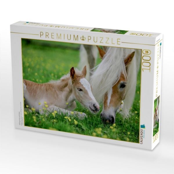 Produktbild: CALVENDO Puzzle Haflingerstute mit Fohlen | 1000 Teile Lege-Gr&ouml;&szlig;e 64x48cm Foto-Puzzle f&uuml;r gl&uuml;ckliche Stunden