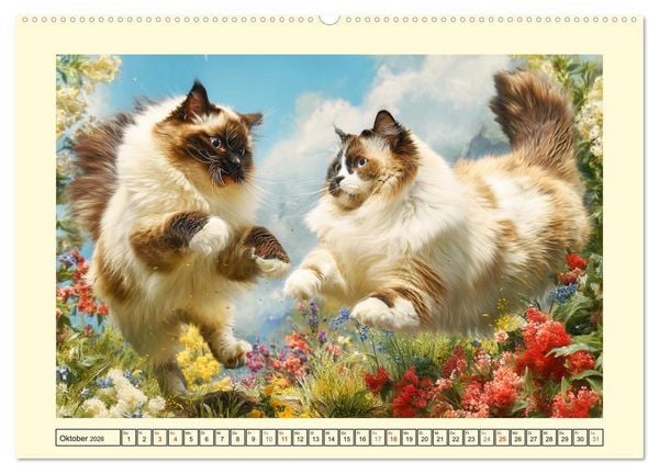 Produktbild: Sch&ouml;ne Katzen. Beliebte Samtpfoten im Garten (Wandkalender 2026 DIN A2 quer), CALVENDO Monatskalender