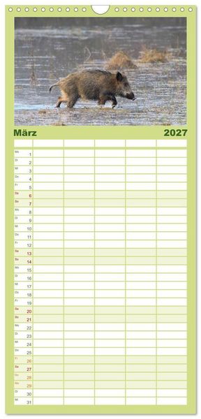 Produktbild: Familienplaner 2027 - Wildschweine &ndash; Wildlife Fotografien mit 5 Spalten (Wandkalender, 21 x 45 cm) CALVENDO