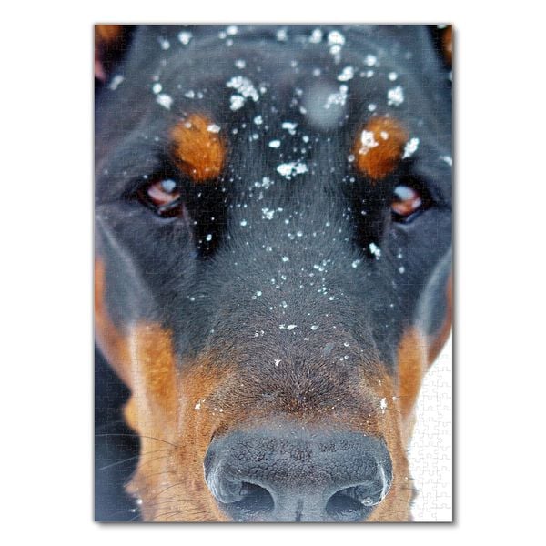 Produktbild: Lais Puzzle Dobermann 1000 Teile
