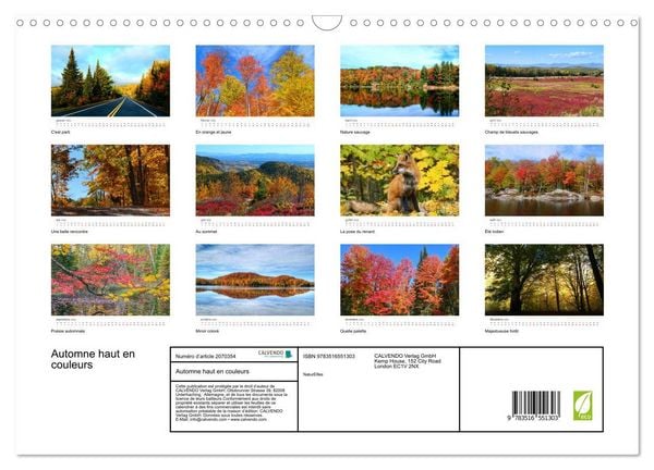Produktbild: Automne haut en couleurs (Calendrier mural 2026 DIN A3 vertical), CALVENDO calendrier mensuel