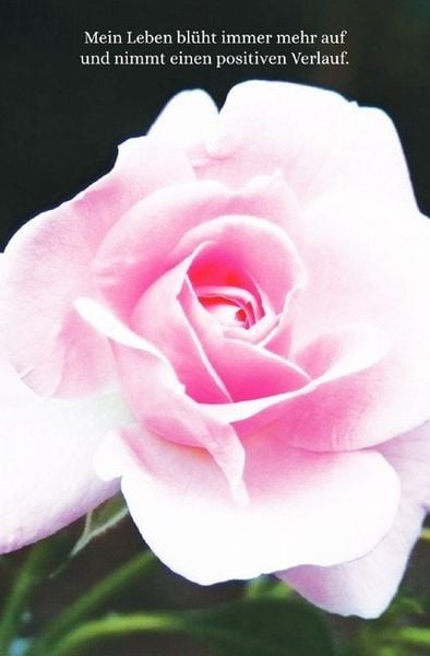 Produktbild: Schreibwandel Notizbuch "rosa Rose" (mit Reim-Affirmation)
