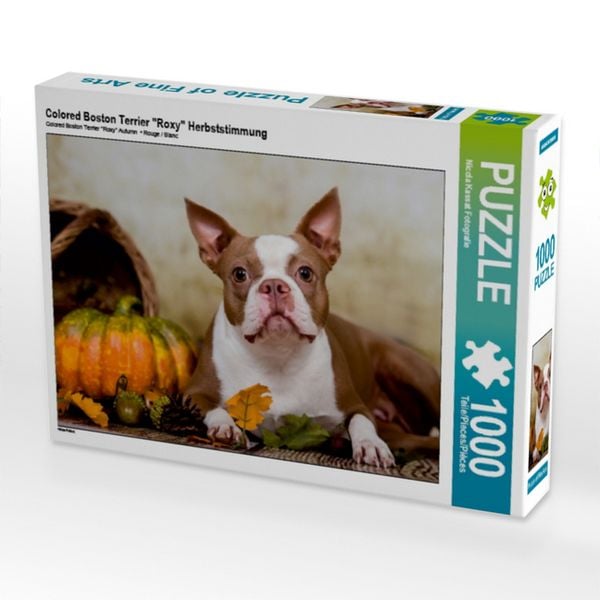 "CALVENDO Puzzle Colored Boston Terrier ""Roxy"" Herbststimmung | 1000 Teile Lege-Größe 64x48cm Foto-Puzzle für glückliche Stunden"