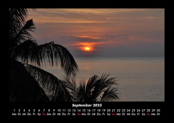Produktbild: Palmentraum 2025 Fotokalender DIN A3