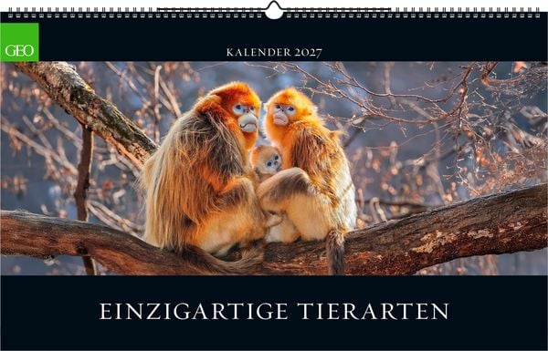 Produktbild: GEO Einzigartige Tierarten 2027