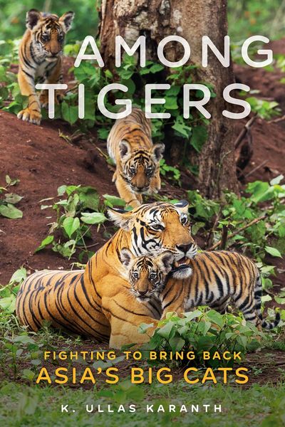 Produktbild: Among Tigers