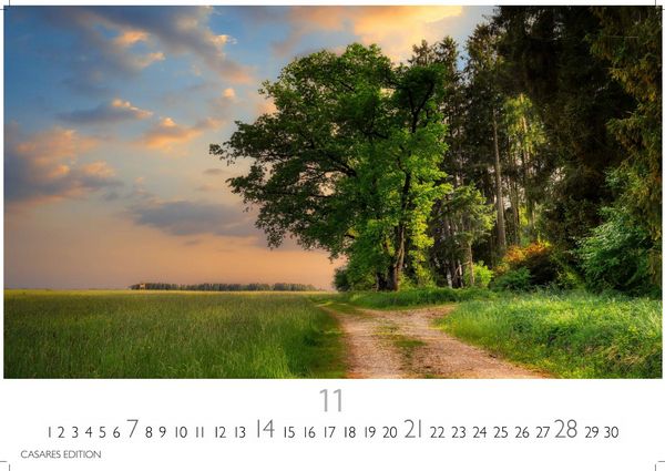Produktbild: Wald & Natur Kalender 2027 &ndash; Wandkalender | Fotokalender Naturkalender Gro&szlig;format 35x50cm - Nat&uuml;rliche Sch&ouml;nheit & Ruhe f&uuml;r jeden Monat .