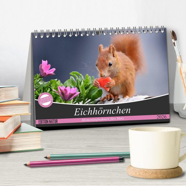 Produktbild: Eichh&ouml;rnchen Momentaufnahmen f&uuml;rs Herz (Tischkalender 2026 DIN A5 quer), CALVENDO Monatskalender