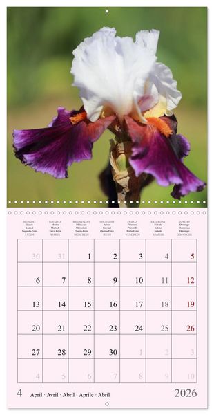 Produktbild: Les saisons en fleurs (Calendrier mural carr&eacute; 2026 30x30 cm) Calendrier double avec une page pour vos prises de notes