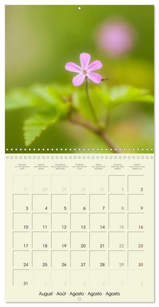 Produktbild: Flowers from dreamland (Wall Calendar 2026 12 &times; 12 Inch) CALVENDO 12 Month Wall Calendar