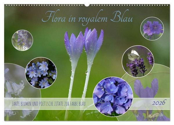 Flora in royalem Blau (Wandkalender 2026 DIN A2 quer), CALVENDO Monatskalender